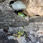 O Muino Da Balsina Дом отдыха Toiriz (Pontevedra)