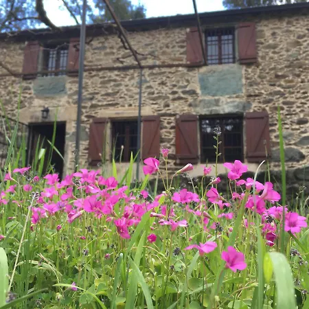 O Muíño Da Balsiña *