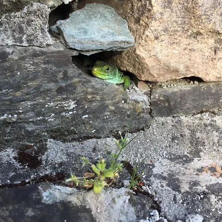 O Muíño Da Balsiña Сasa de vacaciones Toiriz (Pontevedra)
