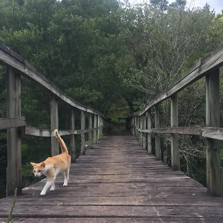 Сasa de vacaciones O Muíño Da Balsiña *