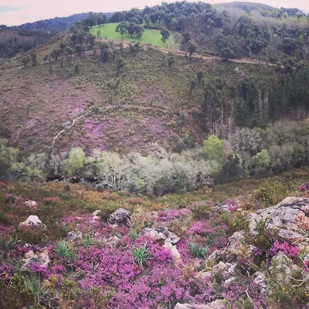 Сasa de vacaciones O Muíño Da Balsiña *
