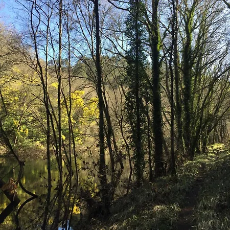 O Muíño Da Balsiña Toiriz (Pontevedra)