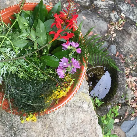 O Muíño Da Balsiña