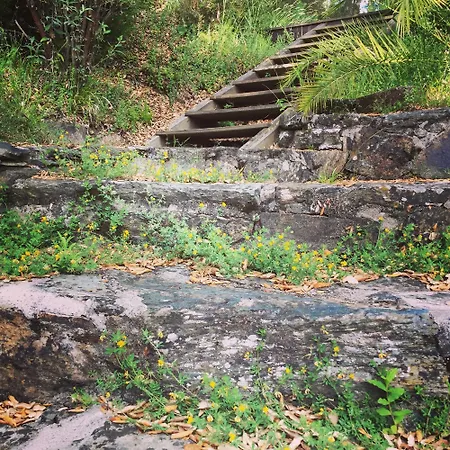 Сasa de vacaciones O Muíño Da Balsiña Toiriz (Pontevedra)