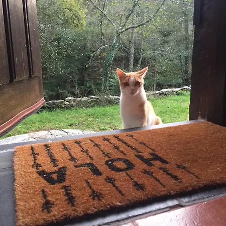 Сasa de vacaciones O Muíño Da Balsiña *