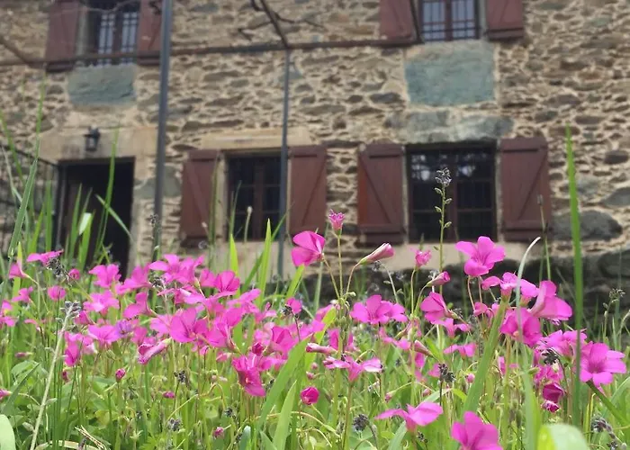 O Muino Da Balsina *