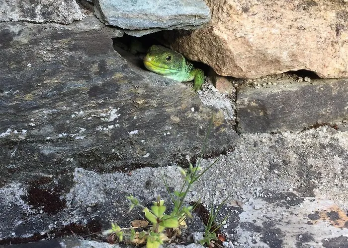 O Muino Da Balsina Vakantiehuis Toiriz (Pontevedra)