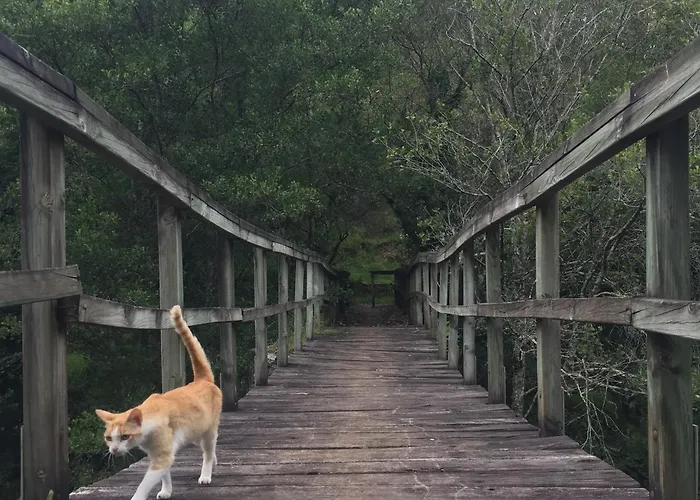 Vakantiehuis O Muino Da Balsina *