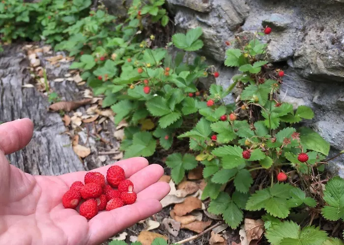 Vakantiehuis O Muino Da Balsina *