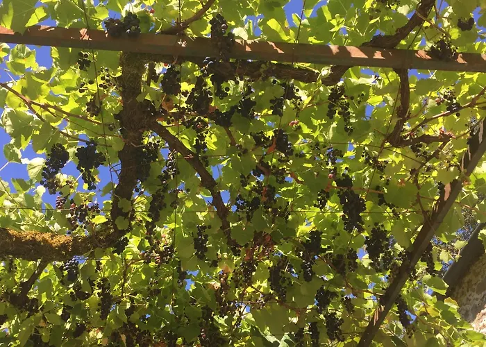 Vakantiehuis O Muino Da Balsina