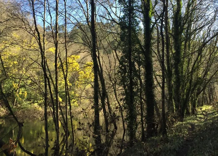 O Muino Da Balsina Toiriz (Pontevedra)